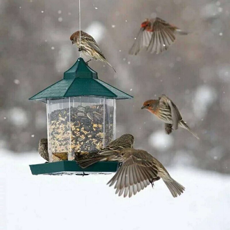 Waterproof hanging bird food box