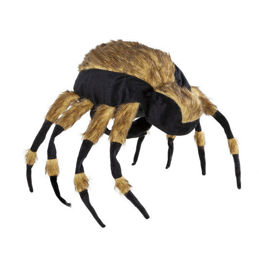 Pet Spiders Change Costumes