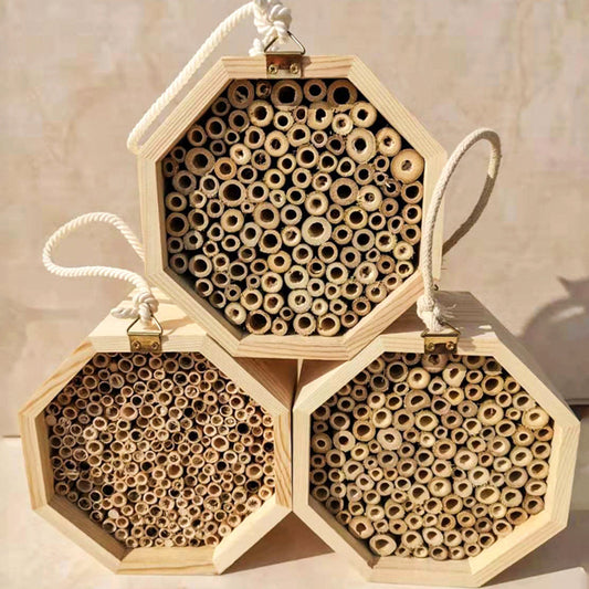 Wooden Bee Breeding Box Combination