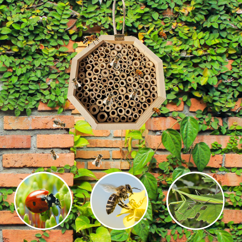 Wooden Bee Breeding Box Combination