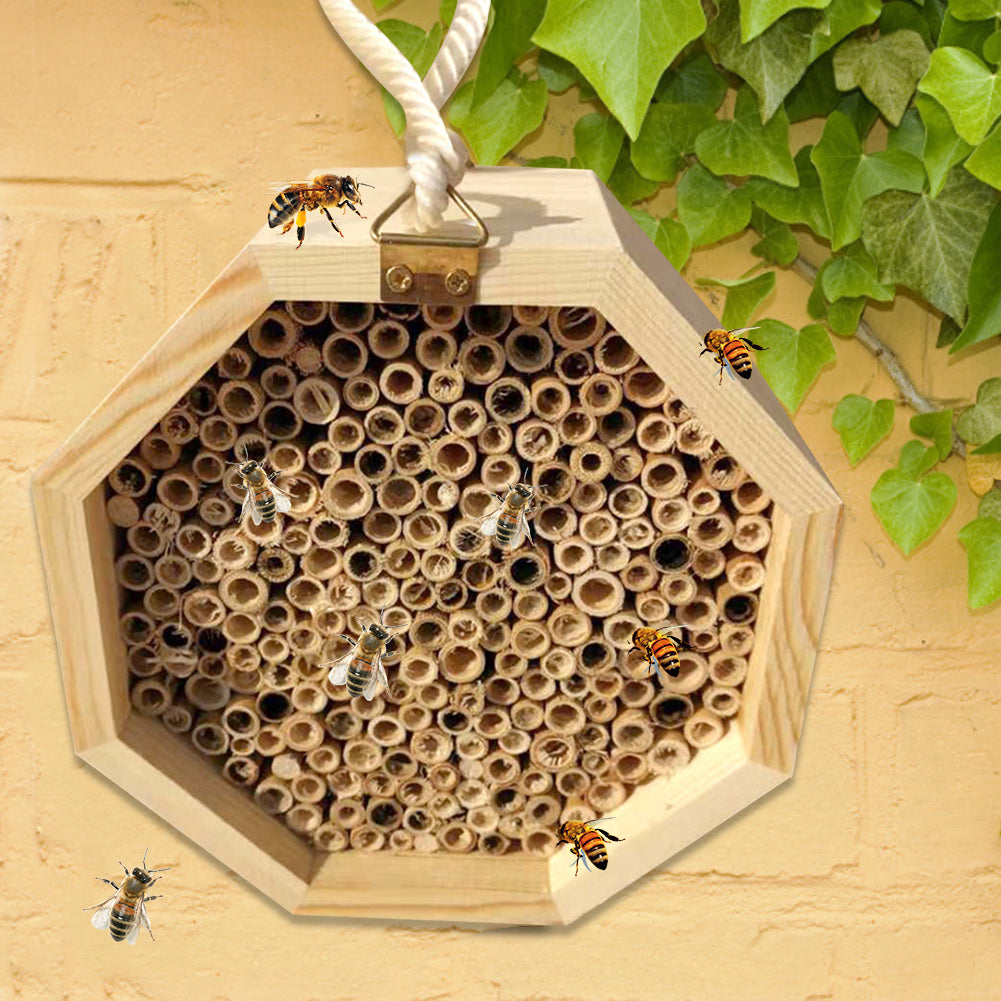 Wooden Bee Breeding Box Combination