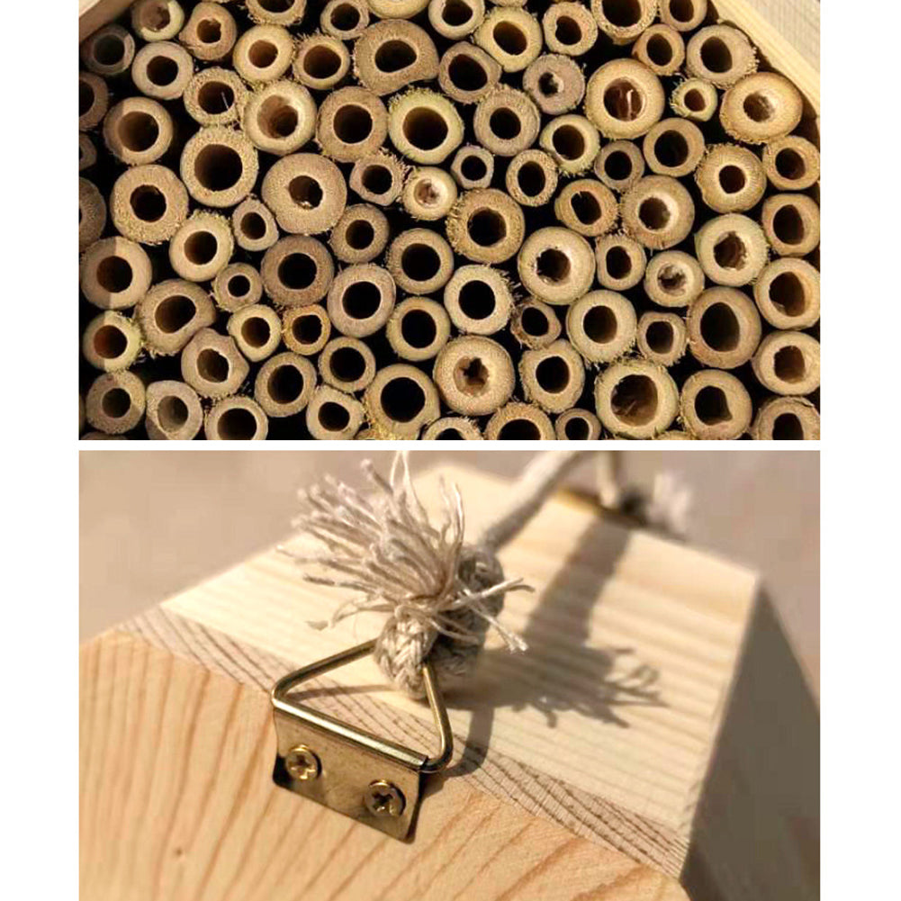 Wooden Bee Breeding Box Combination