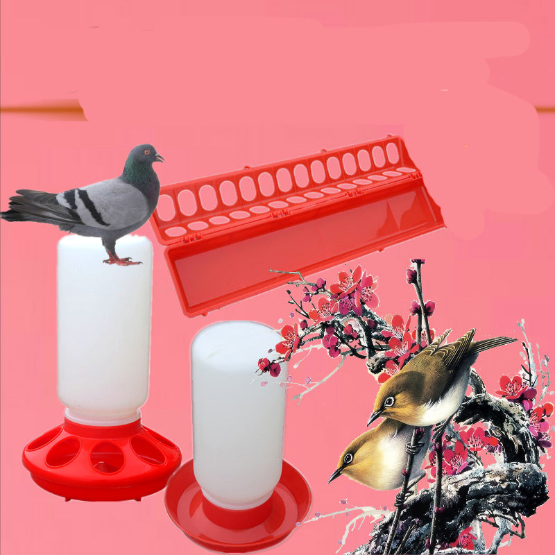 The Bird Feeds The Water Bottle To The Pigeon With A Waterer, Pigeon Trough Screw Mouth