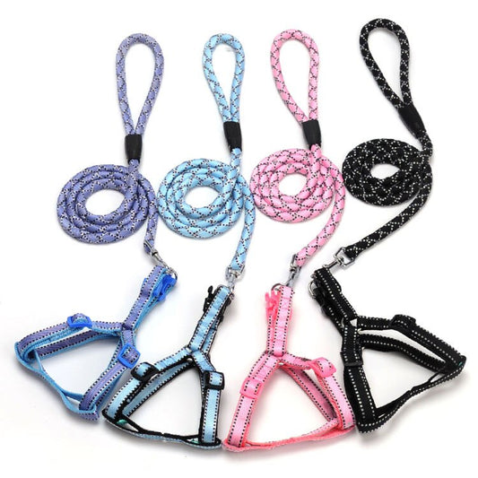 Colorful nylon striped braided rope