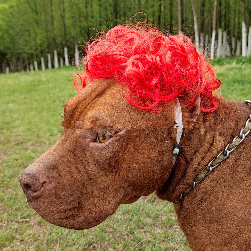 Pet Wig Afro Head Bangs Pigtail