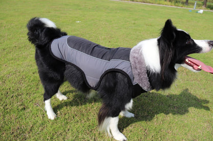 Thickened dog padded coat reflective dog clothing