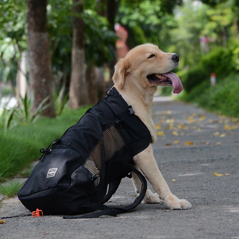 Outdoor shopping backpack