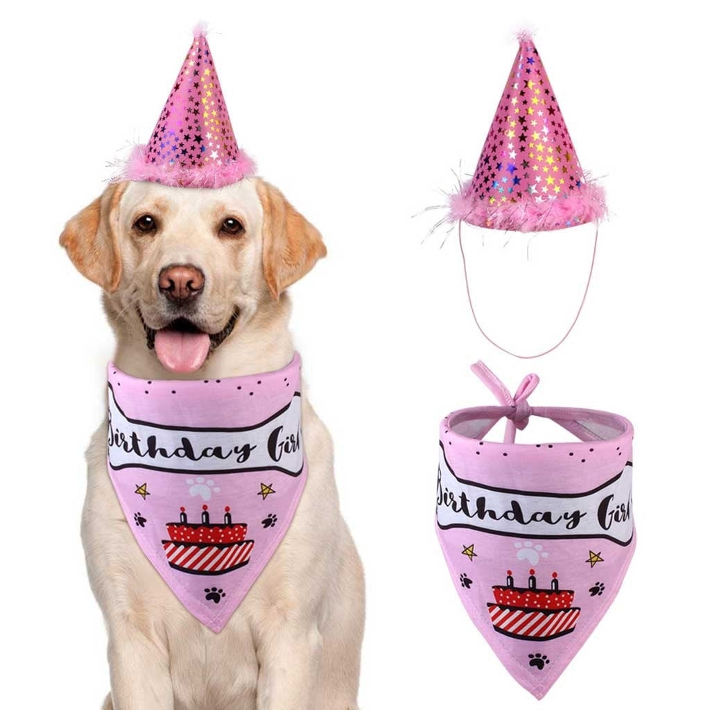 Pet birthday party hat saliva towel set