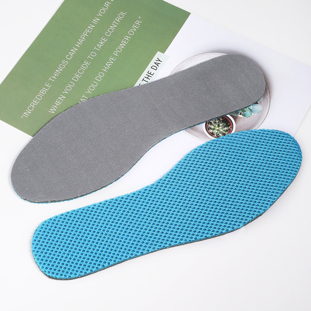 Wormwood deodorant insole