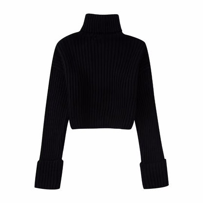 Winter New Fashion Elegant High Collar Long Sleeve Solid Short Knitwear