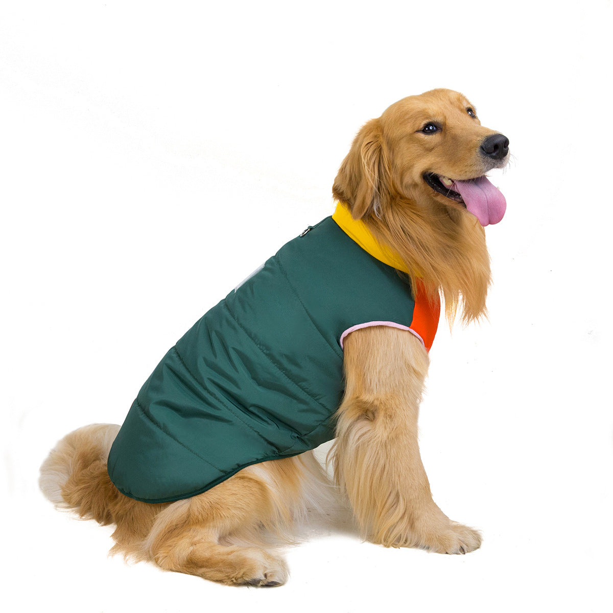 Autumn and winter pet clothing