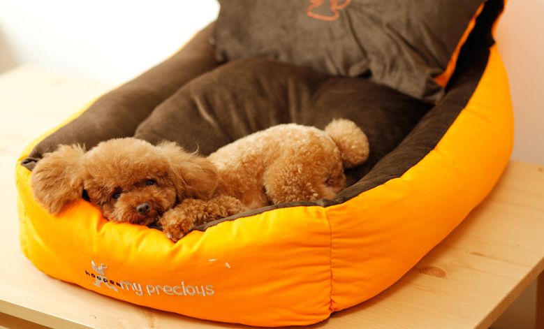 Three-piece Goghouse Pets Bed Removable