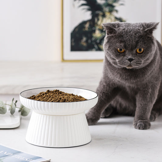 Ceramic Tall Anti-Overturning Large Cat Bowl