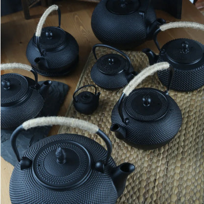 NLSLASI Cast Iron Tea Pot Stainless steel filter Cast Iron Teapot for Boiling Water Oolong Tea Home Induction Cooker Tea Kettle