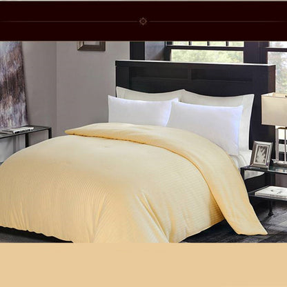 Household Cotton Thickened Silk Air Conditioner Quilt